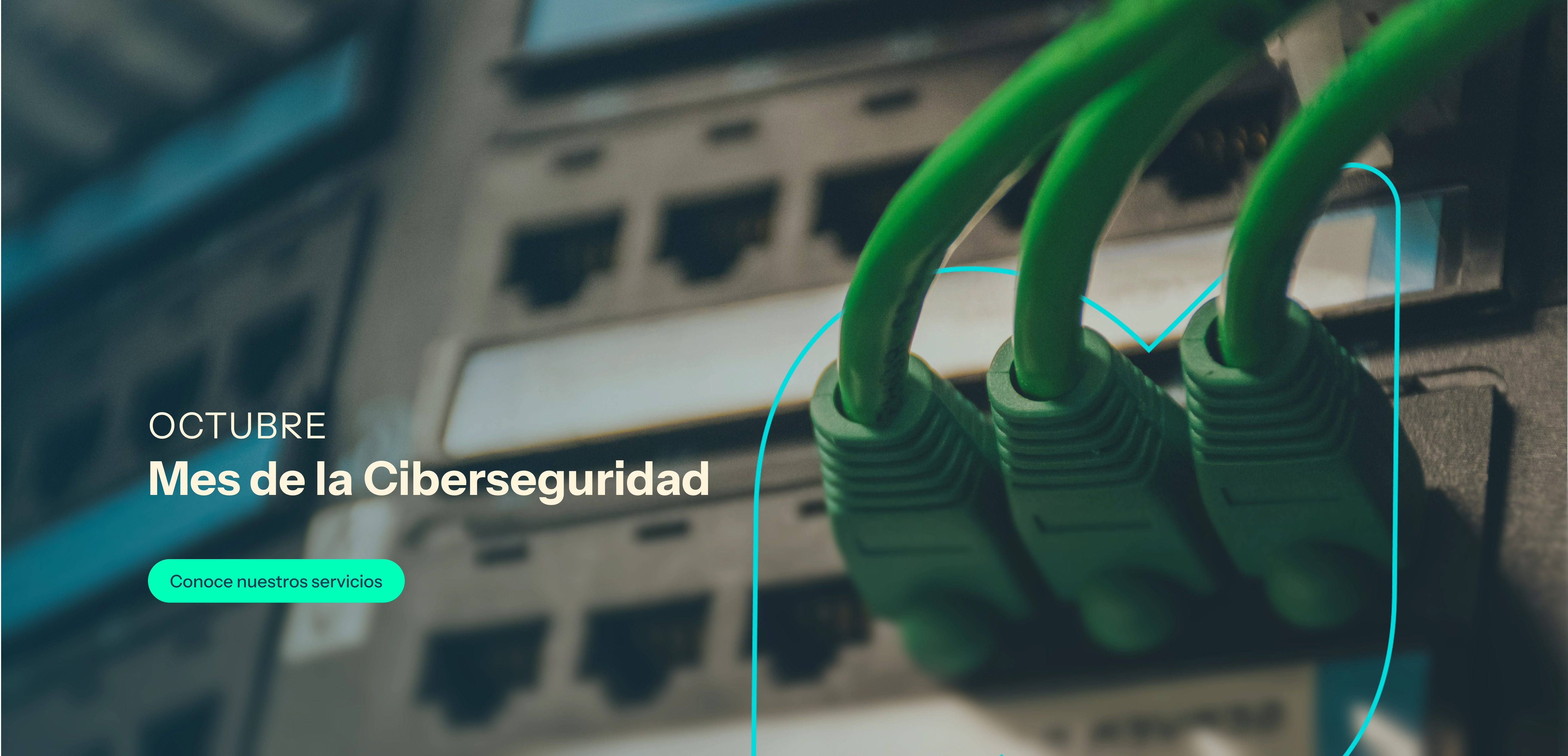 Imagen de cabecera de la página - Versión escritorio